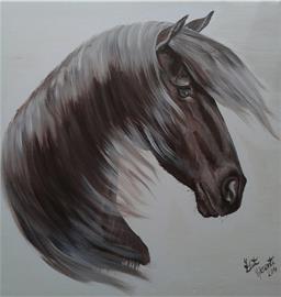 Portrét koně 1